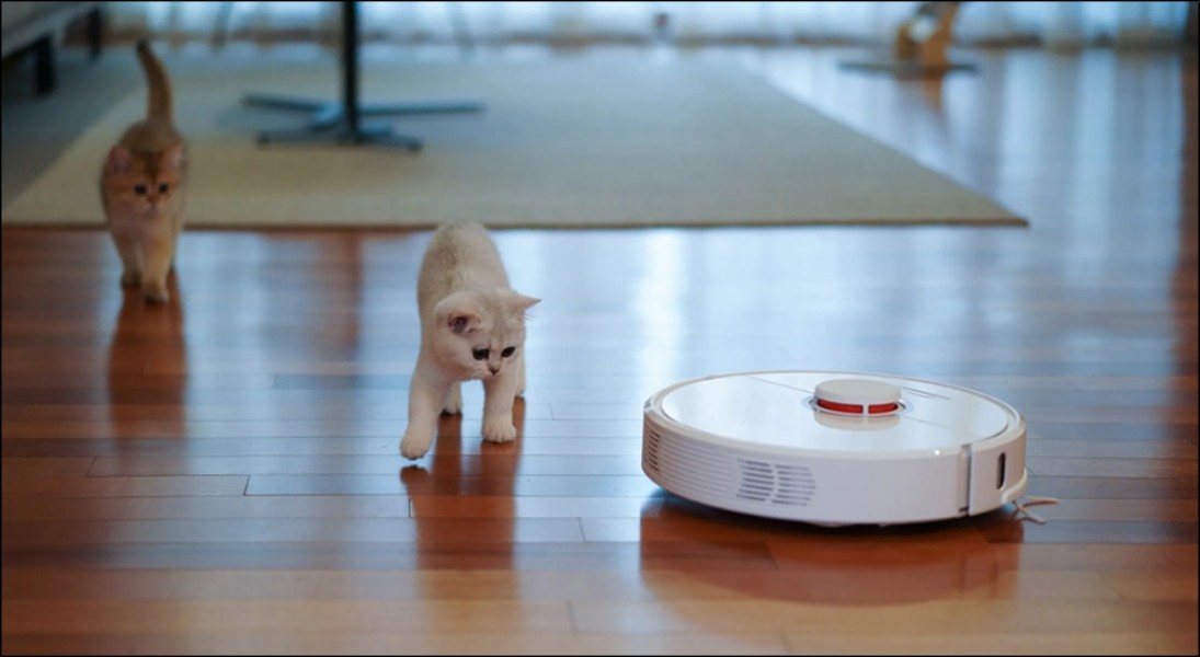 Nếu nhà bạn có nuôi thú cưng, bạn nên cân nhắc các mẫu robot hút bụi với lực hút trên 2000 Pa để làm sạch tối ưu